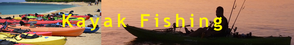 banner-1