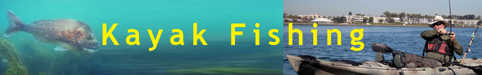 banner-2